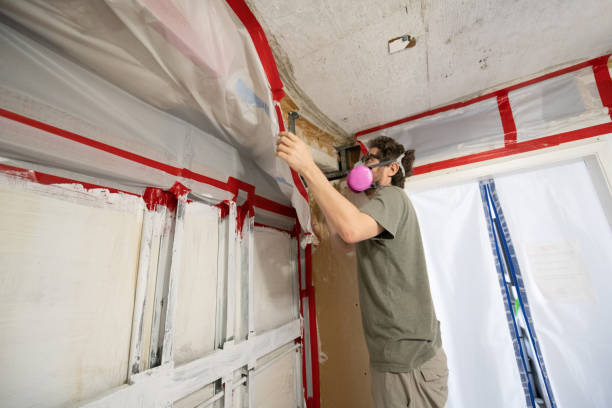 Best Mold-Related Health Consultation  in Columbia City, IN