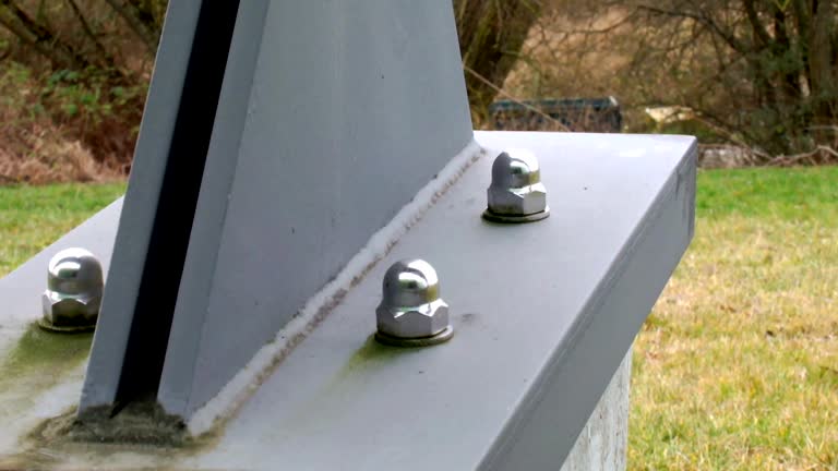 Reliable Columbia City, IN Mold Removal Solutions